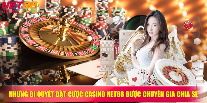 Bí quyết đặt cược casino NET88 từ chuyên gia, bạn không thể bỏ qua