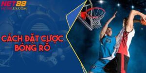 Cách Đặt Cược Bóng Rổ - Các Bước Quan Trọng Để Không Mất Vốn