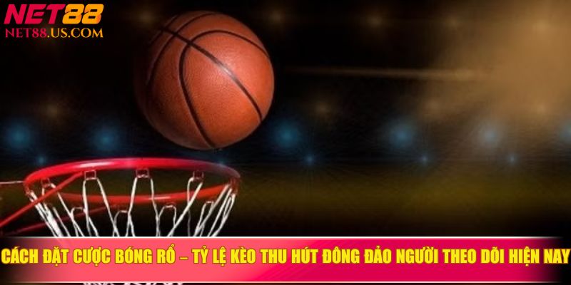 Cách đặt cược bóng rổ - Tỷ lệ kèo thu hút đông đảo người theo dõi hiện nay