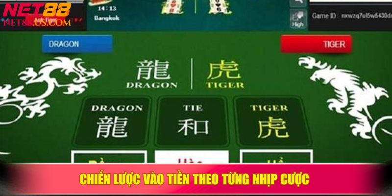 Chiến lược vào tiền theo từng nhịp cược&nbsp;