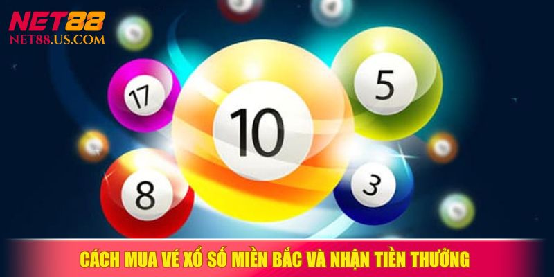 Hai thao tác cơ bản trước khi khám phá các hình cược hấp dẫn