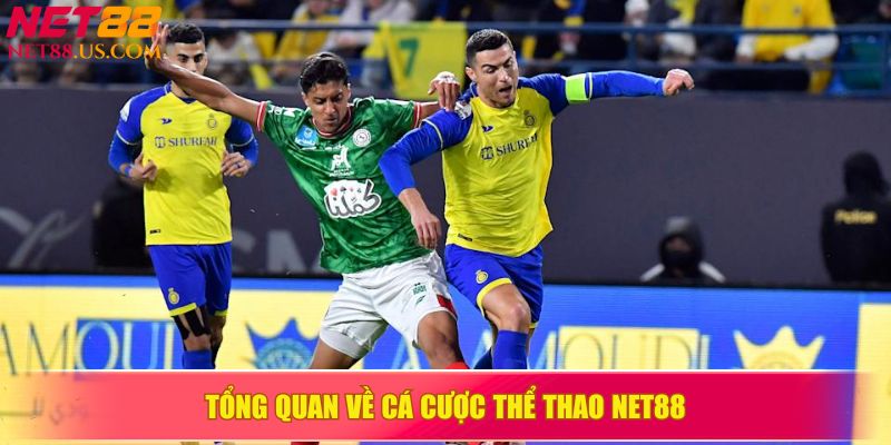 Tổng quan về cá cược thể thao NET88